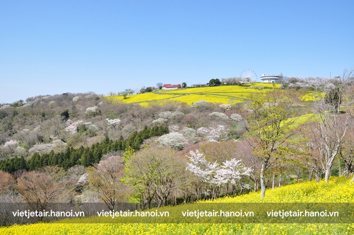 Công viên Mother Farm