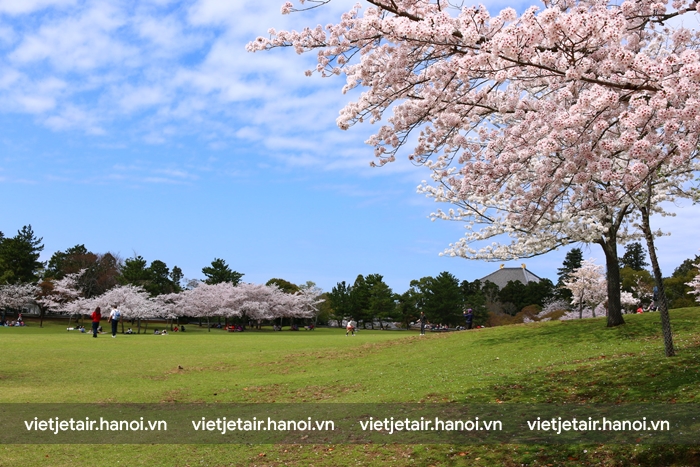 Công viên Narita