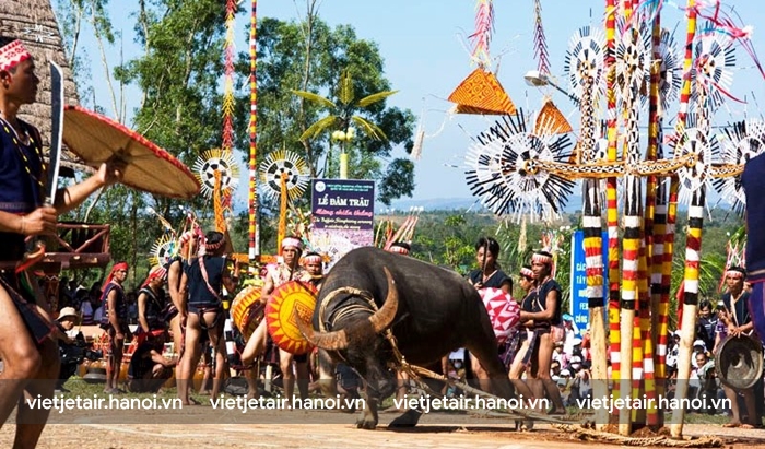 Lễ hội đâm trâu