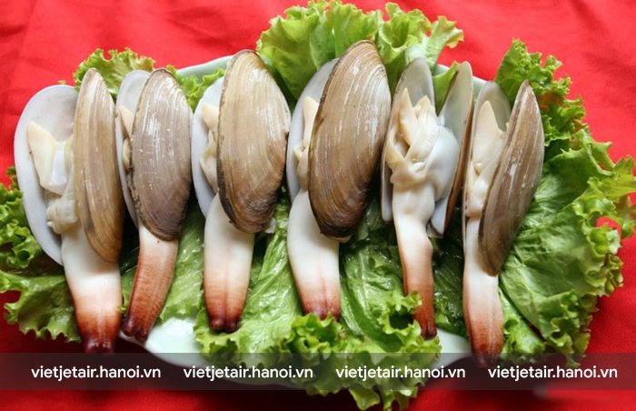 Hải san Vân Đồn