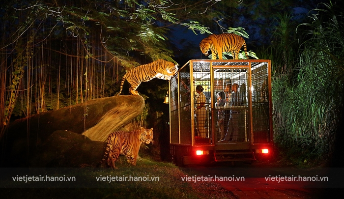 Night Safari - điểm đến lý tưởng cho những người yêu du lịch thiên nhiên hoang dã vào buổi tối