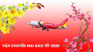 Lưu ý Vietjet về Quy định vận chuyển Mai – Đào