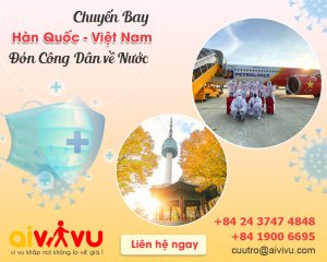 Vé máy bay từ Hàn Quốc về Việt Nam