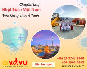 Vé máy bay từ Nhật Bản về Việt Nam