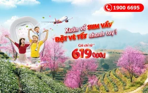 Săn vé máy bay Tết 2023 chỉ từ 619.000 VNĐ