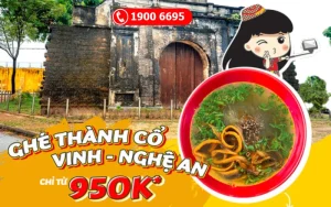 Vietjet Air sale vé máy bay Tết đi Vinh - Nghệ An 950k