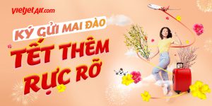 Vietjet Air quy định vận chuyển mai đào Tết Giáp Thìn 2024